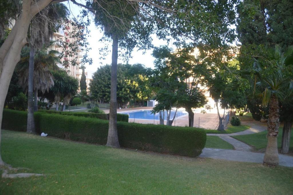 Apartment Casa Hercules